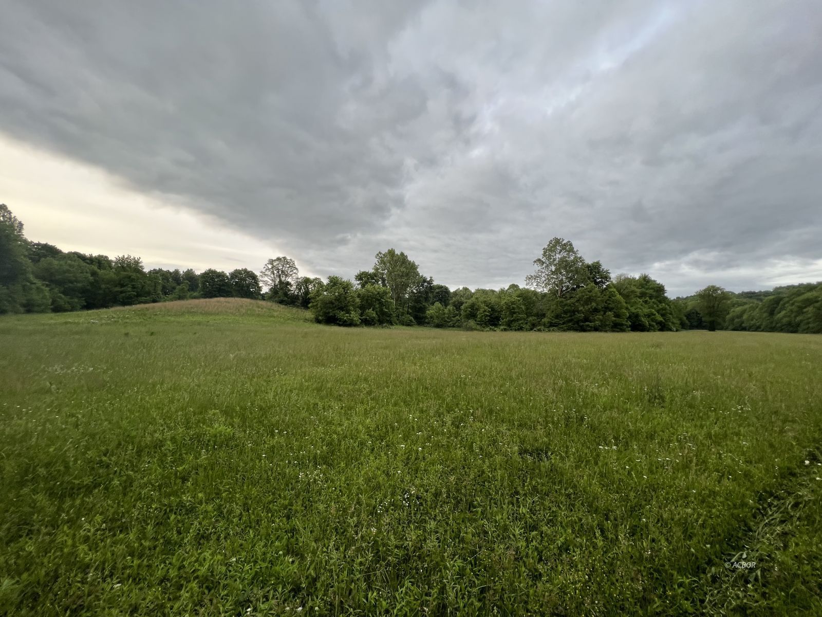 Pasture wooded 81 acres