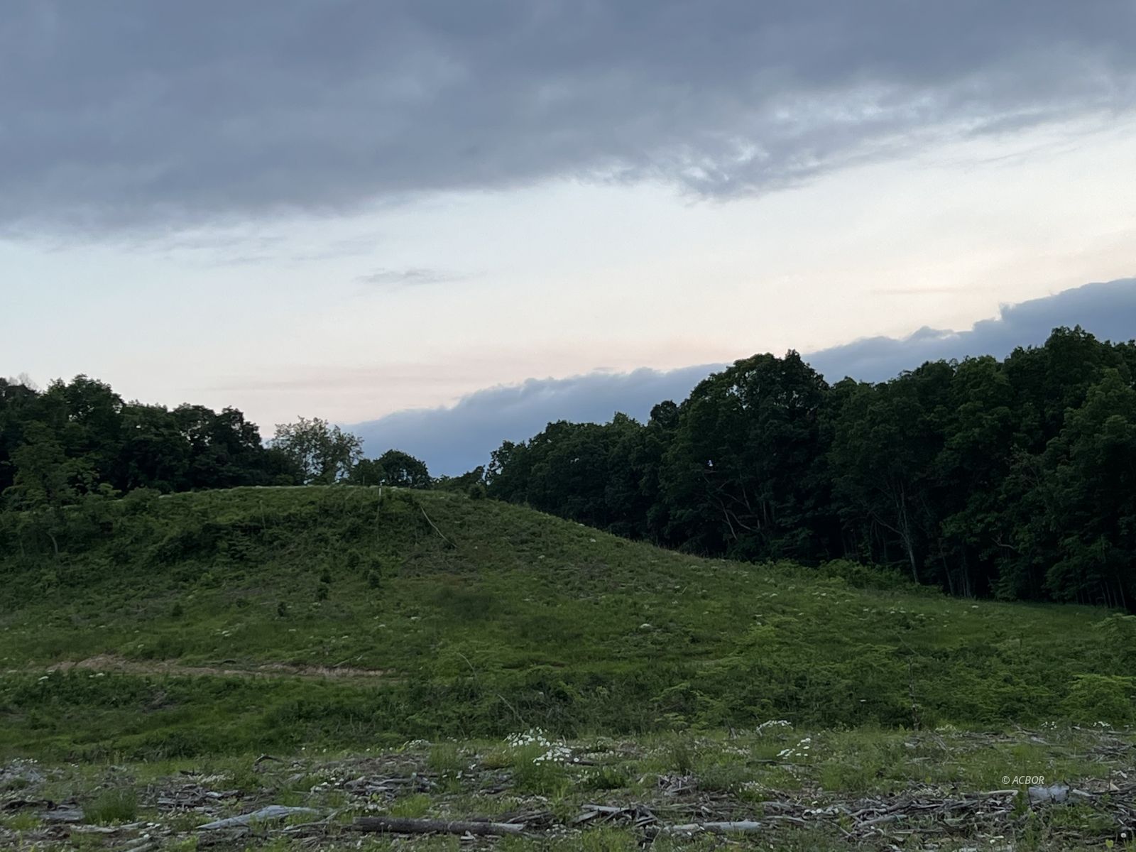 Pasture & wooded