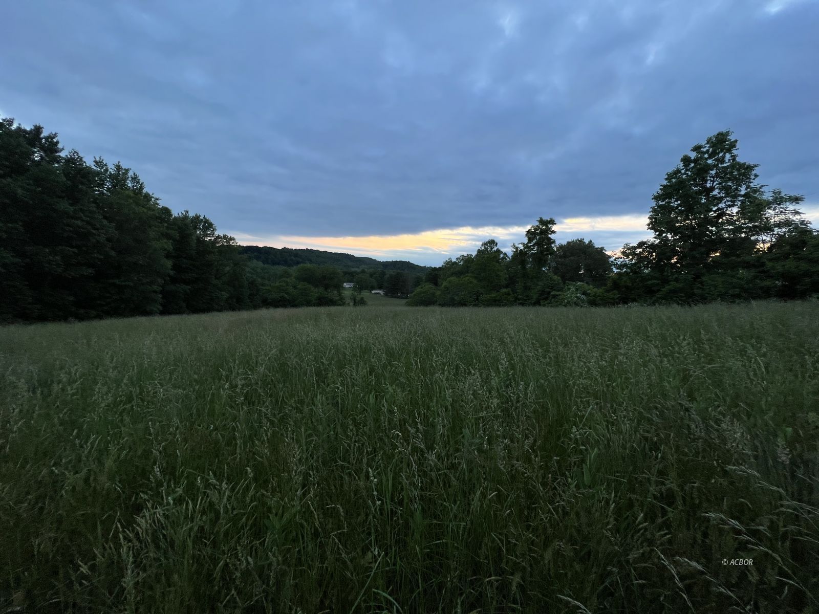 Pasture