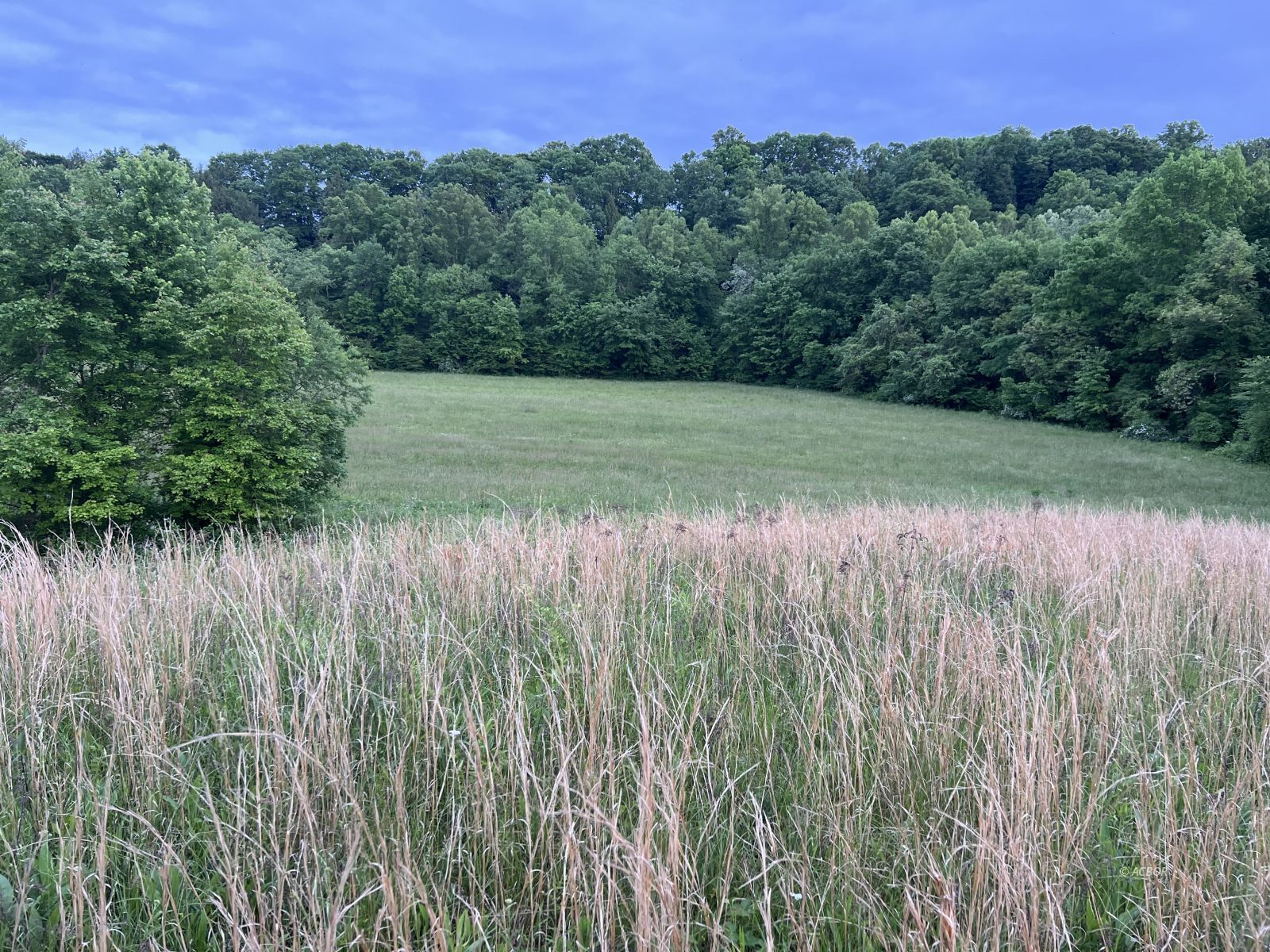 Pasture tillable