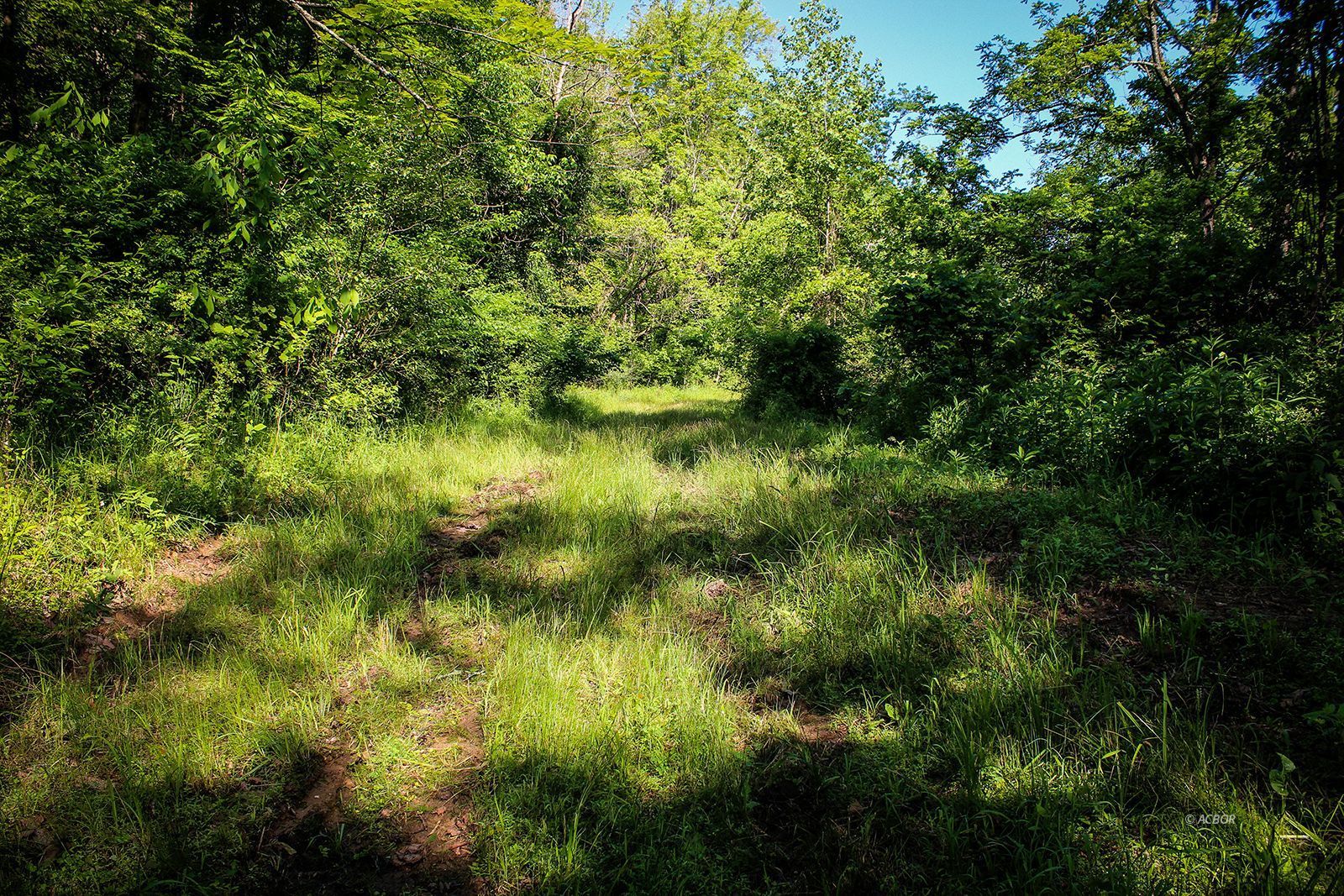 Property Photo 40