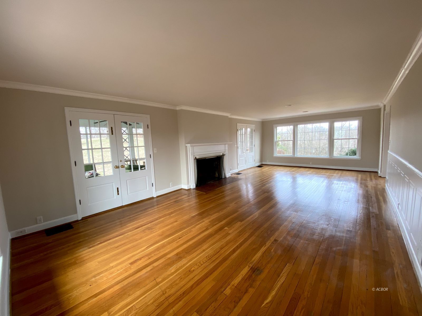 Living room with fireplace