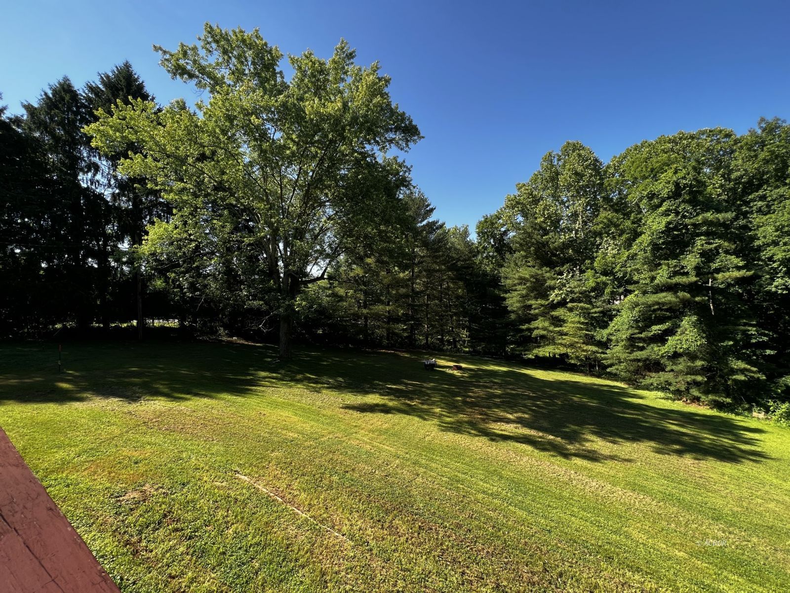 Yard