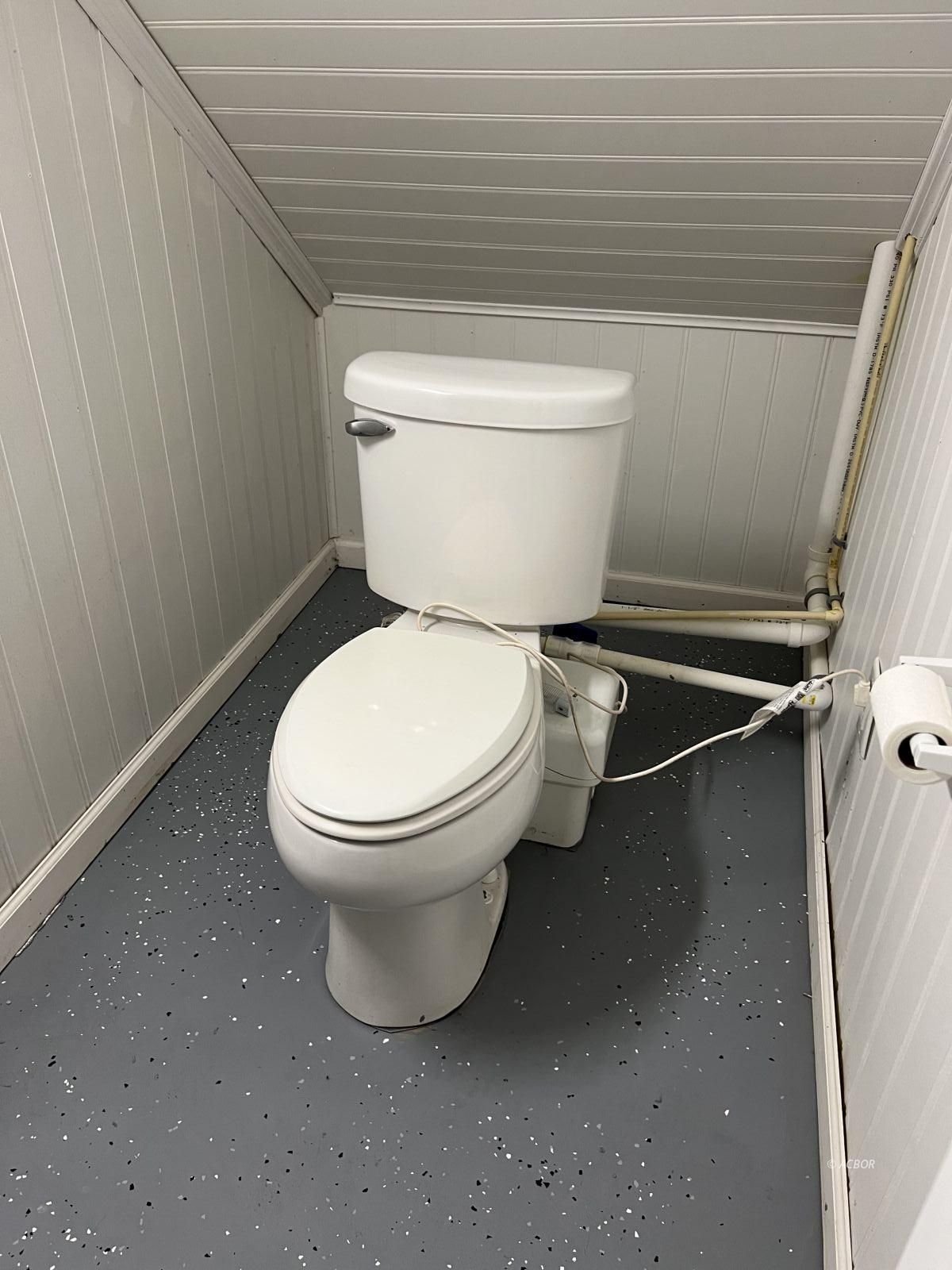 basement toilet