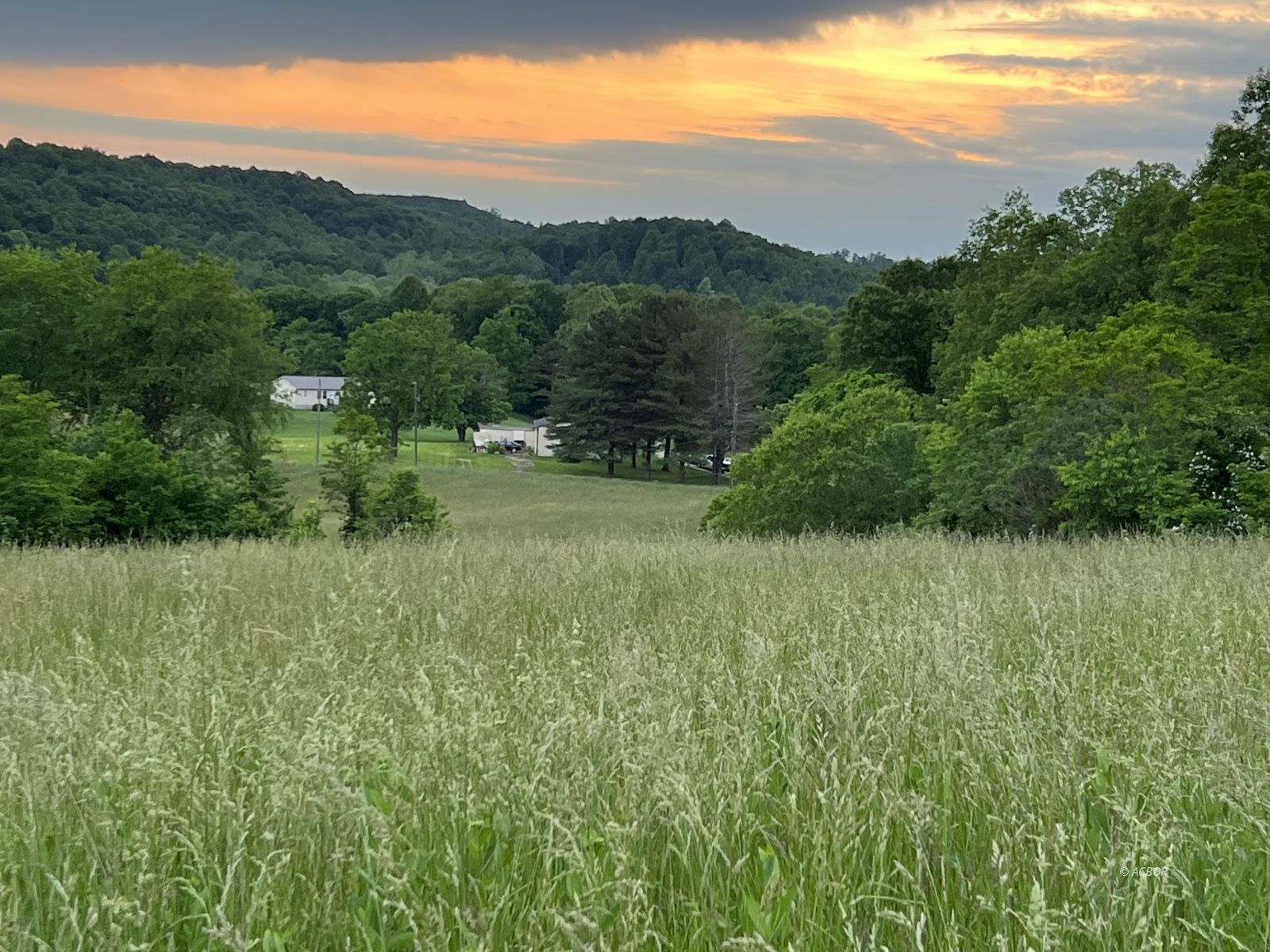 Country living homesite