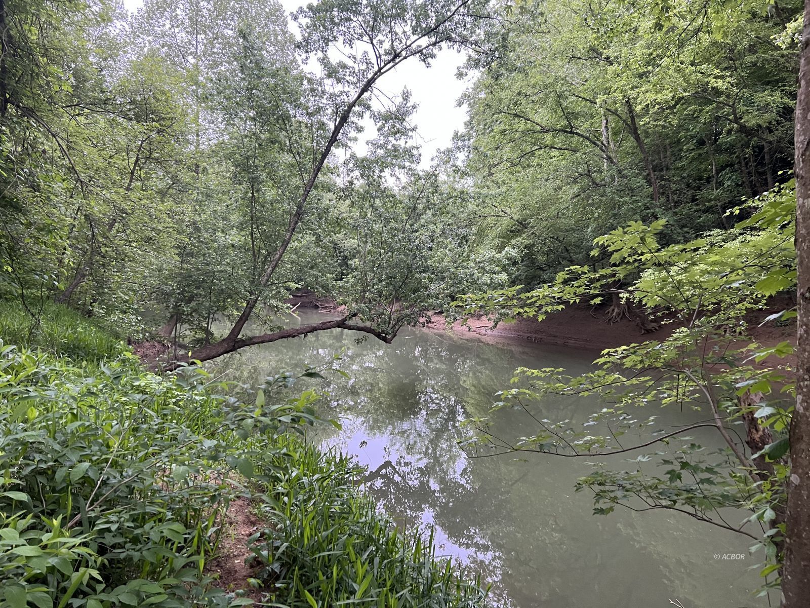 Wildlife sanctuary