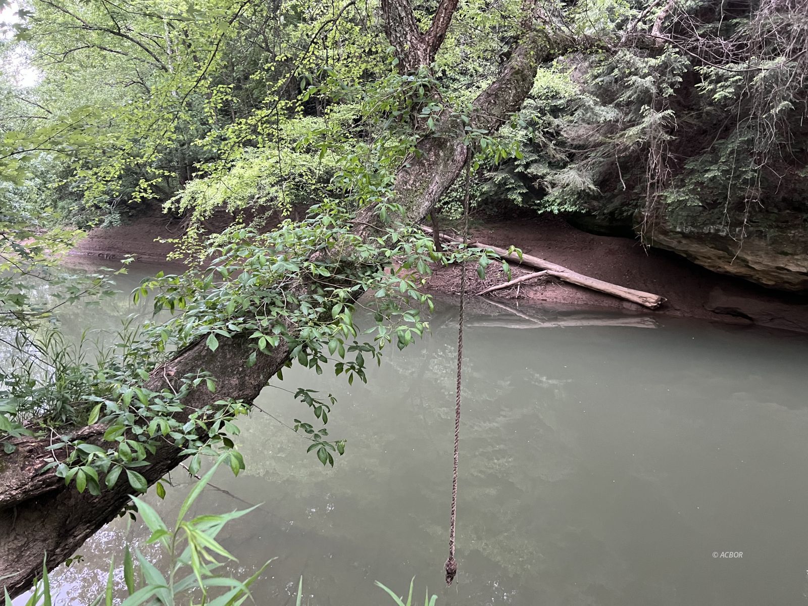 Swimming hole