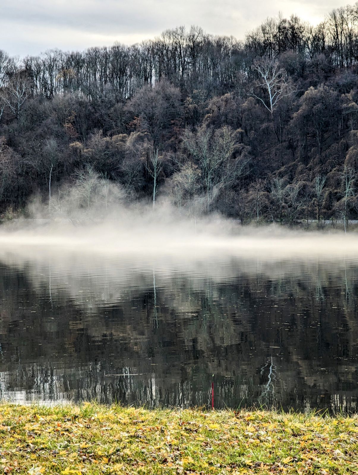 River Fog