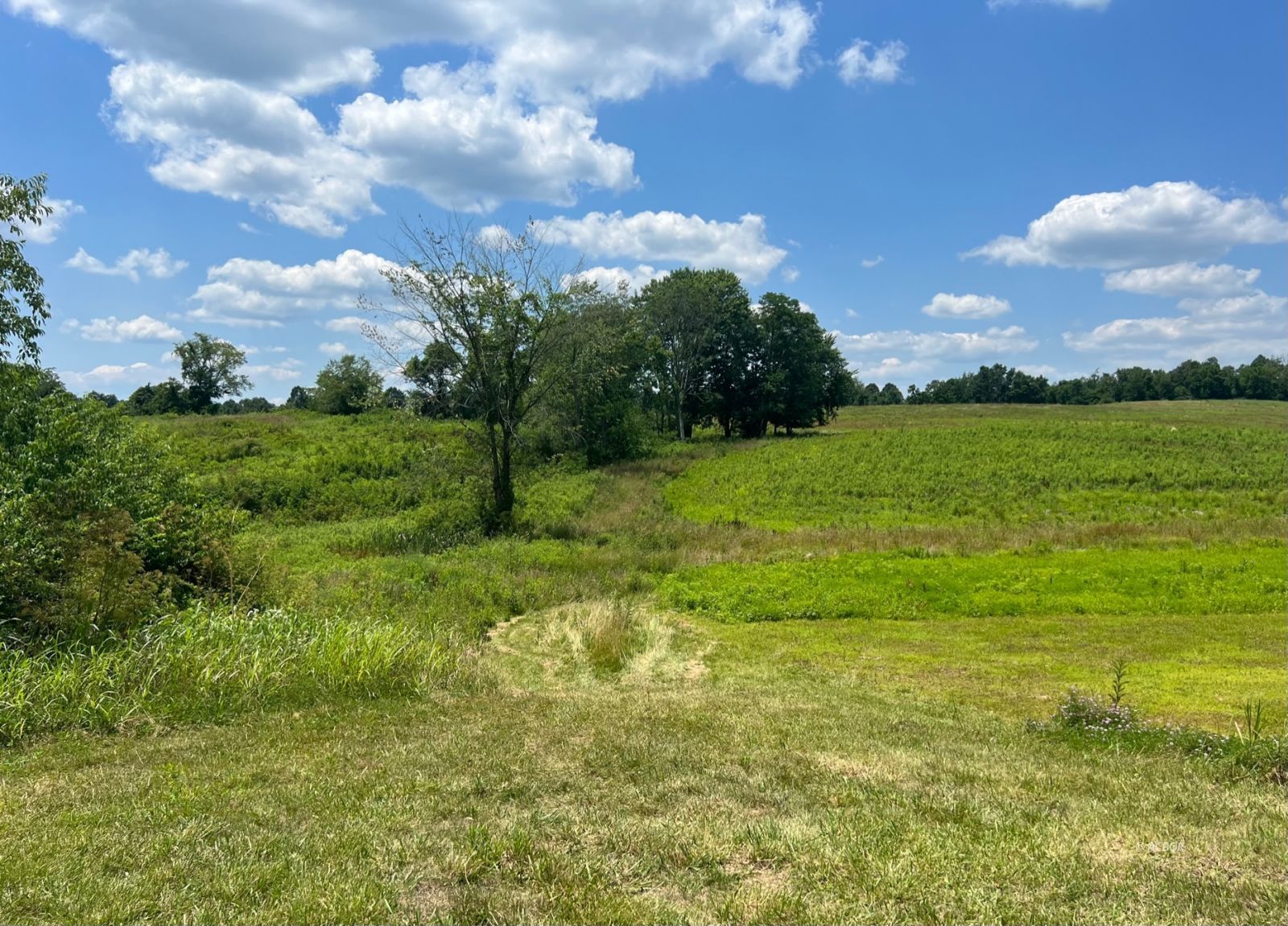 Homes In Gallipolis & Pomeroy OH Joshua Bodimer Broker Wiseman