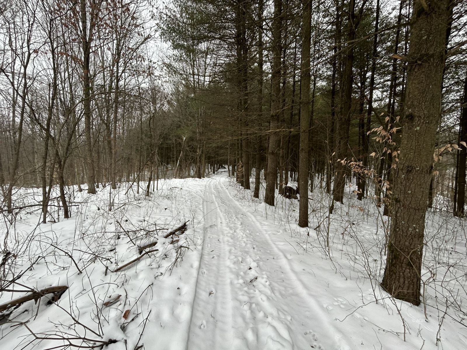 Scenic Road