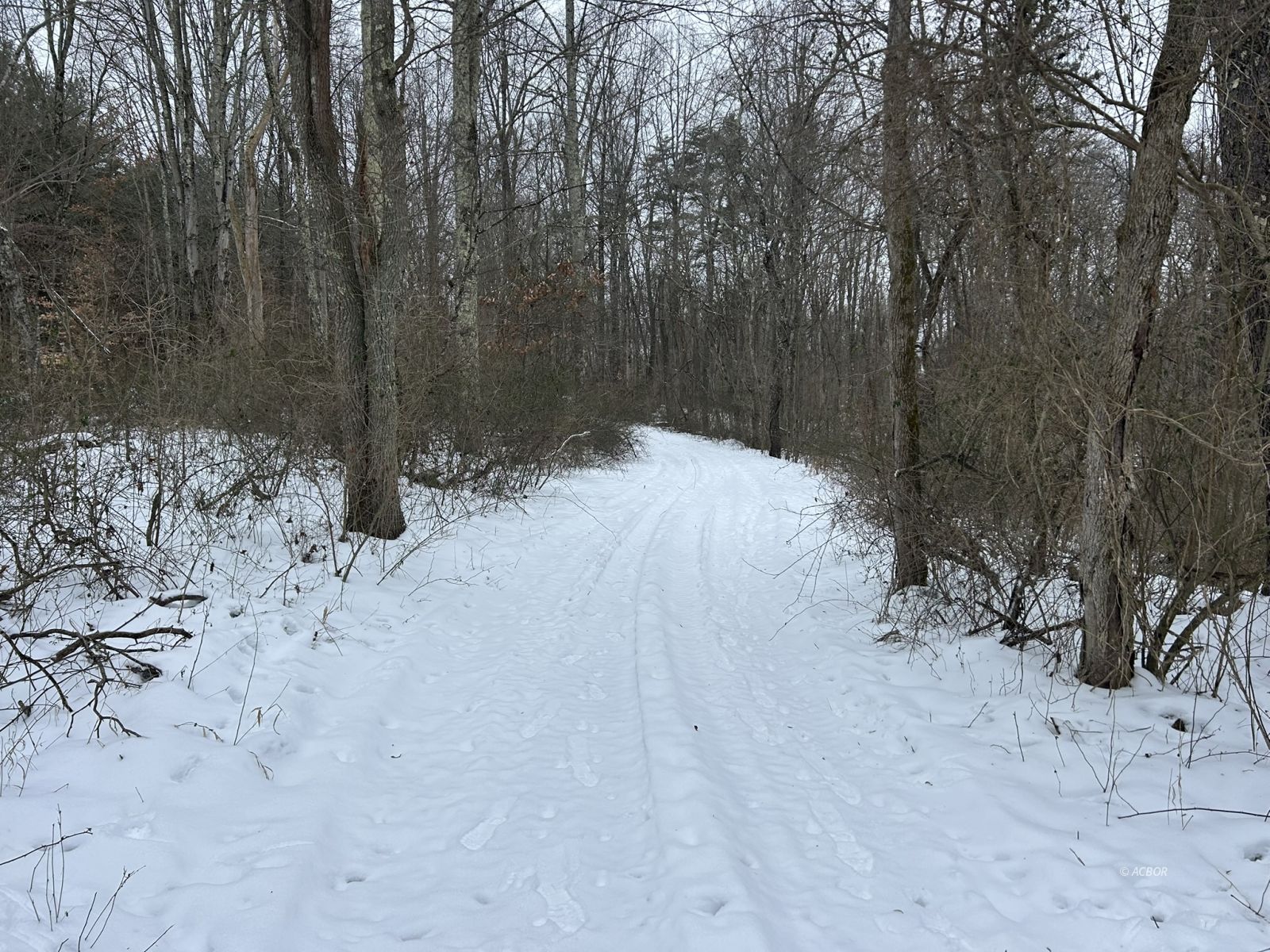 Scenic Road