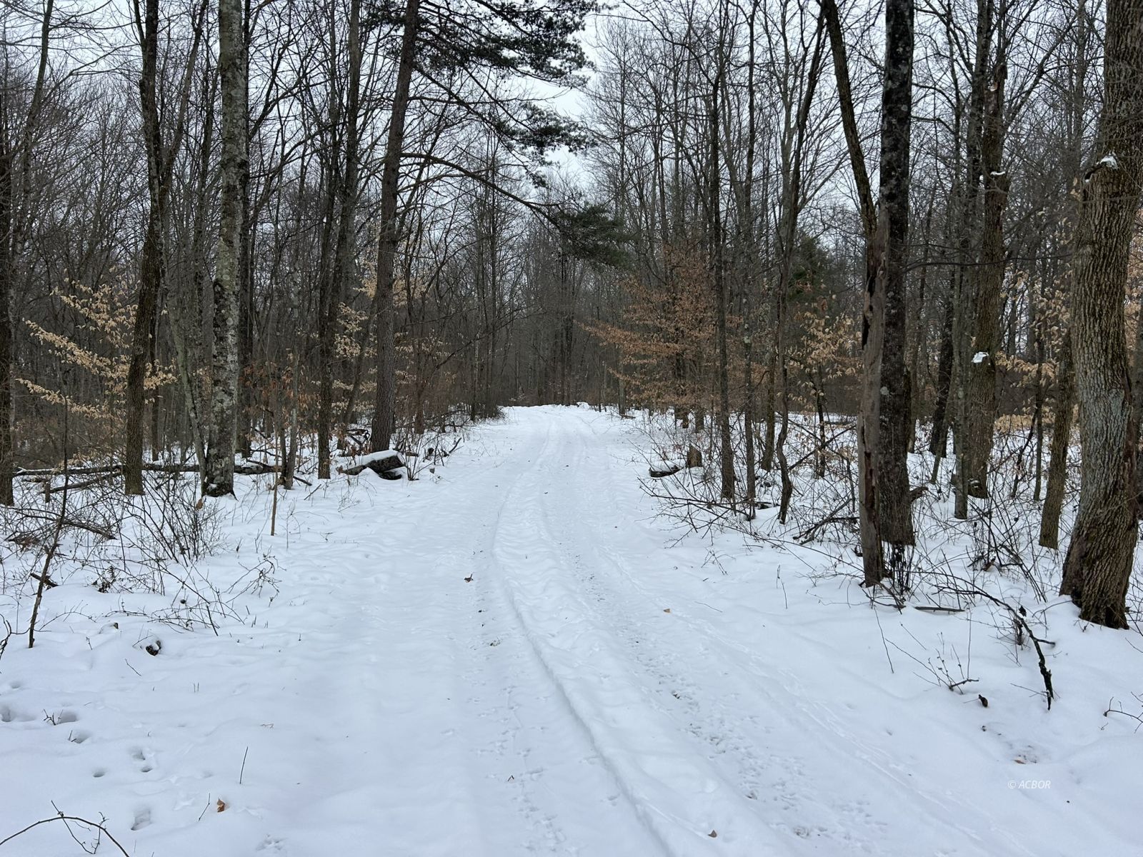 Scenic Road