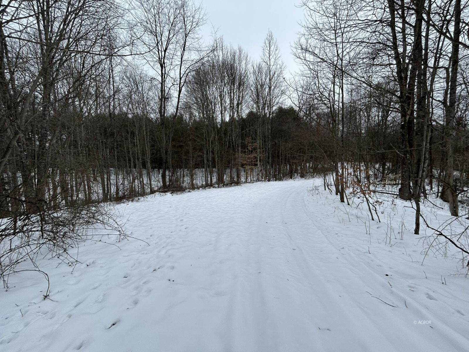 Scenic Road