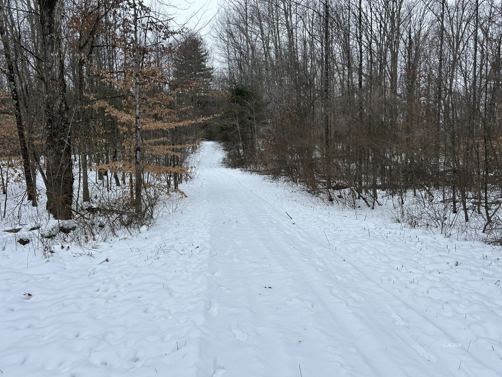 Scenic Road