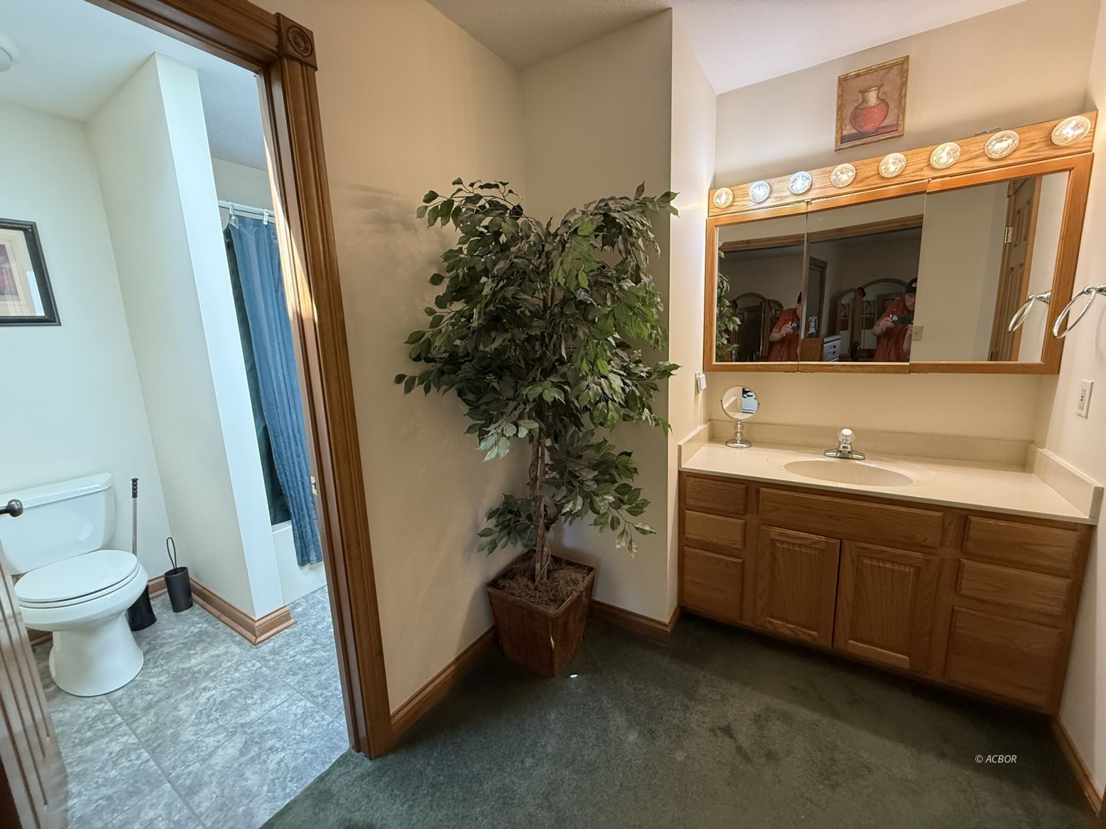 31440 Deerfield Dr