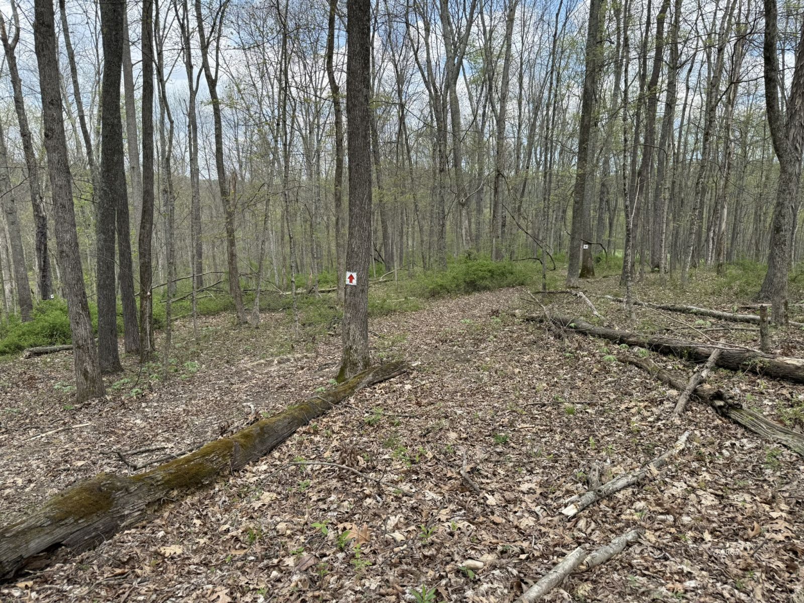 15155 Sauerkraut Rd