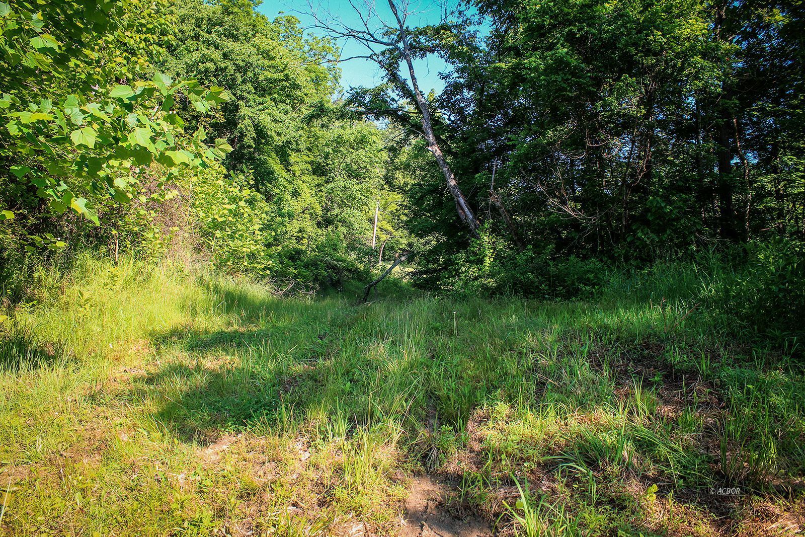 Property Photo 35