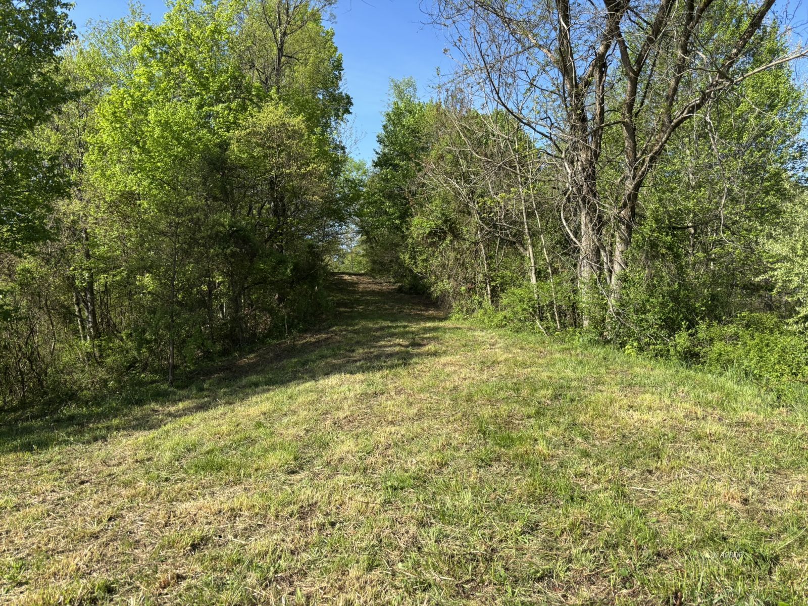 Twist Tail Rd