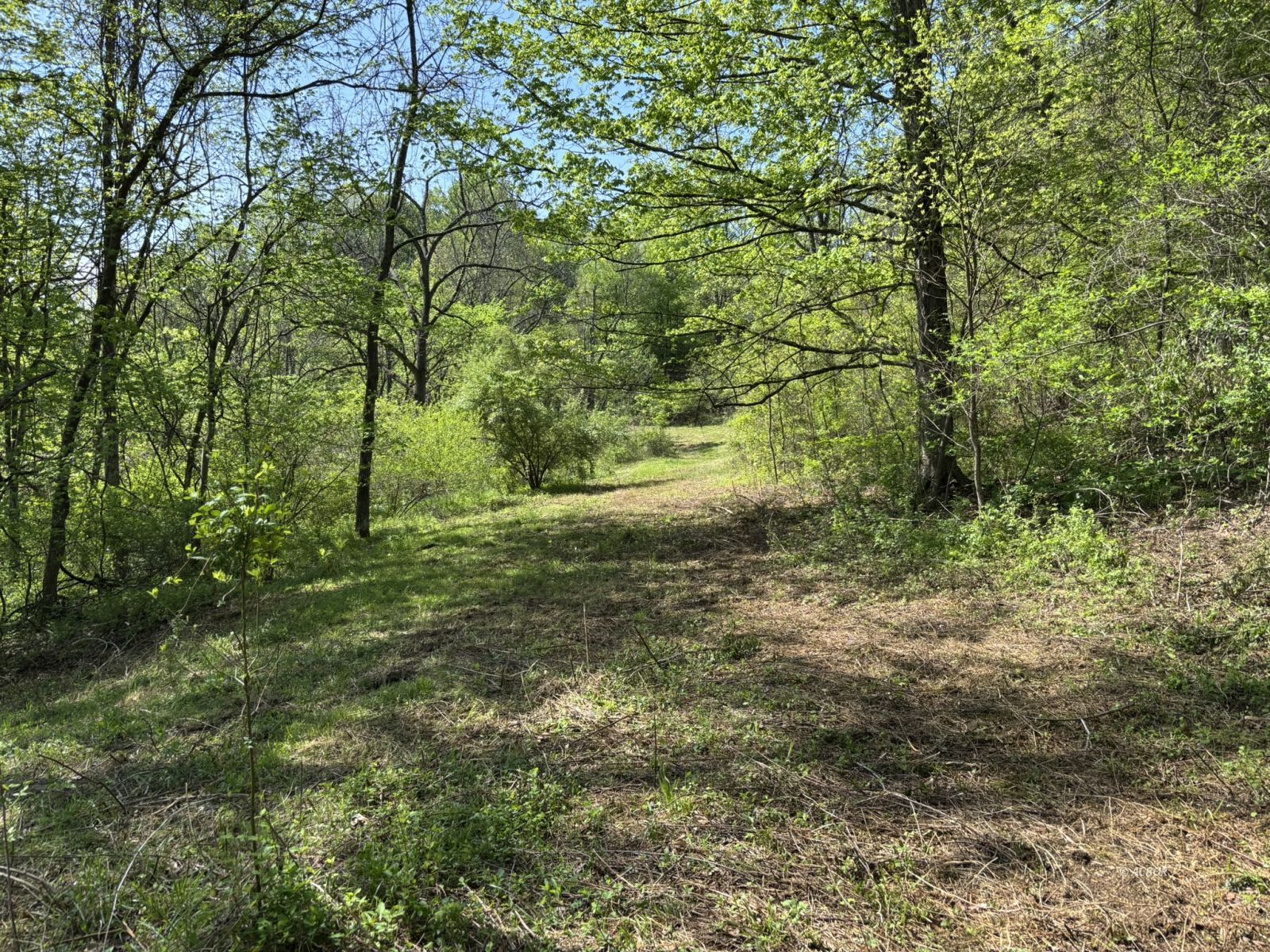 Twist Tail Rd