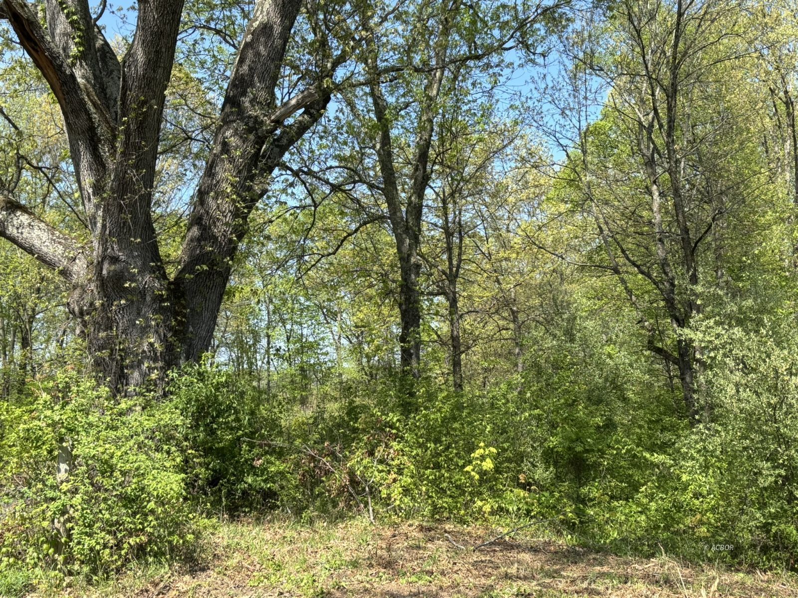 Twist Tail Rd