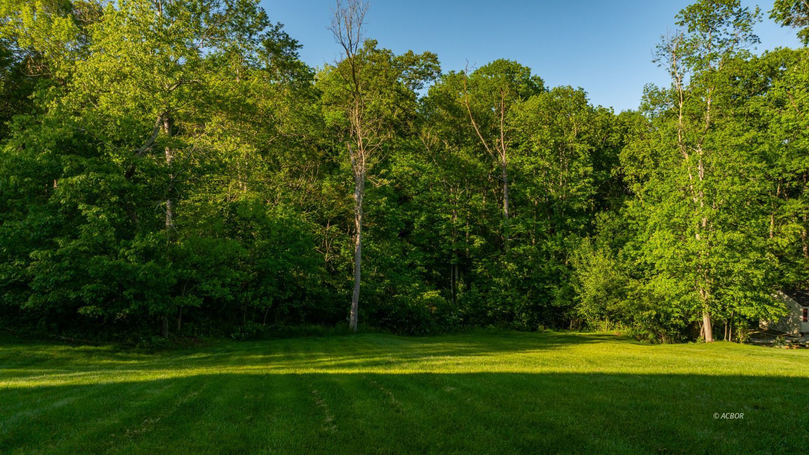 135 Lewis Pointe Dr