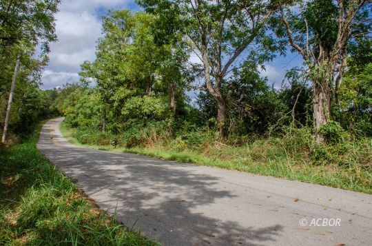 feature listing property photo