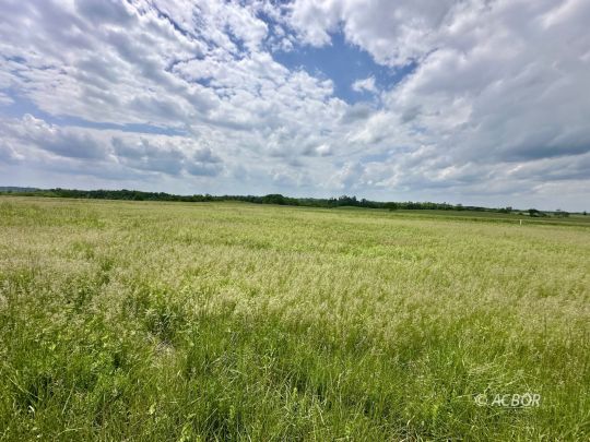feature listing property photo