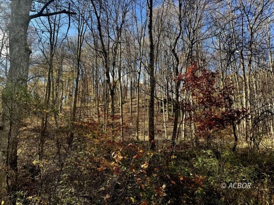 feature listing property photo