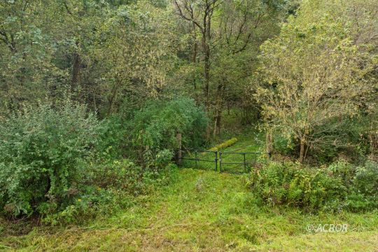 feature listing property photo