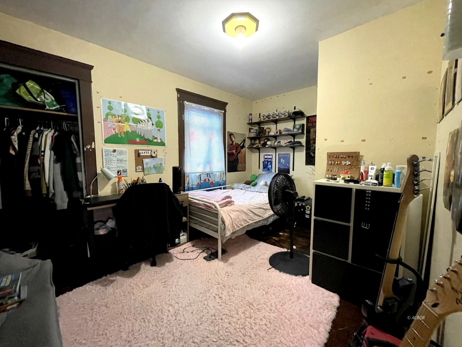 Bedroom #4 (Attic Access Room)