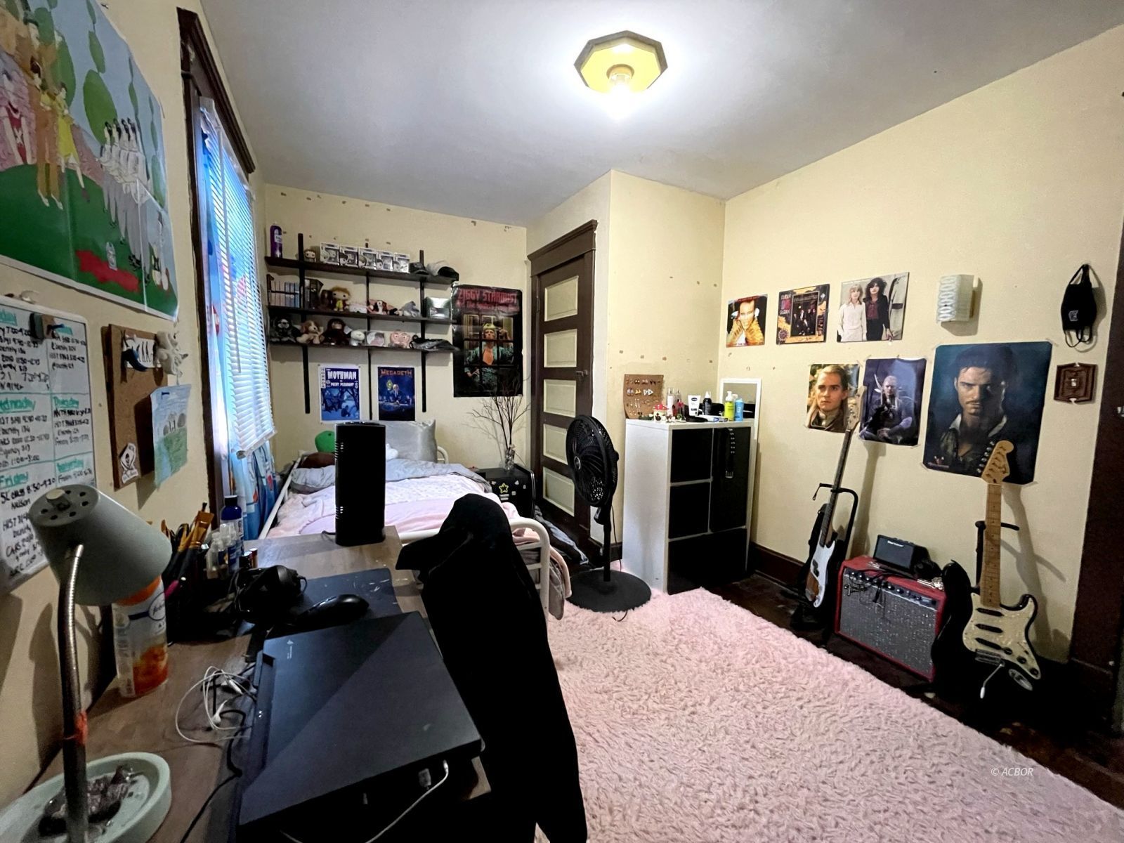 Bedroom #4 (Attic Access Room)