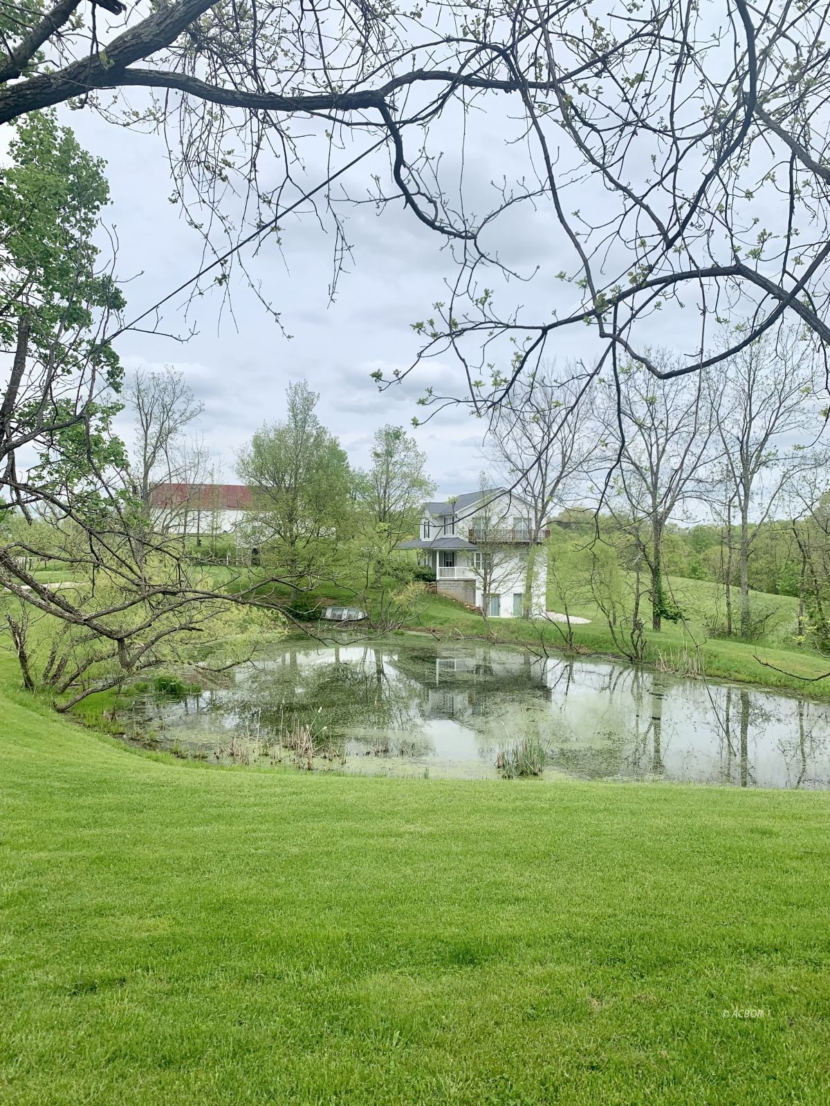 pond