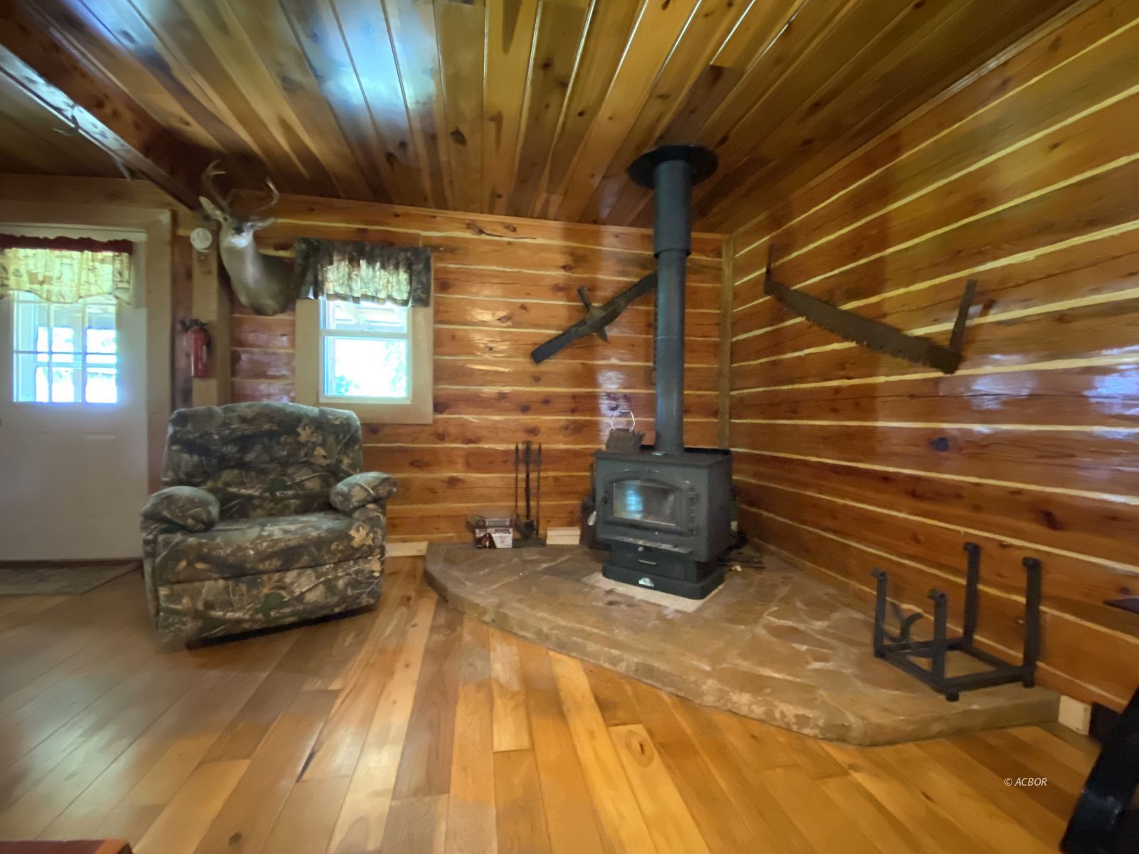 Wood burner in living room