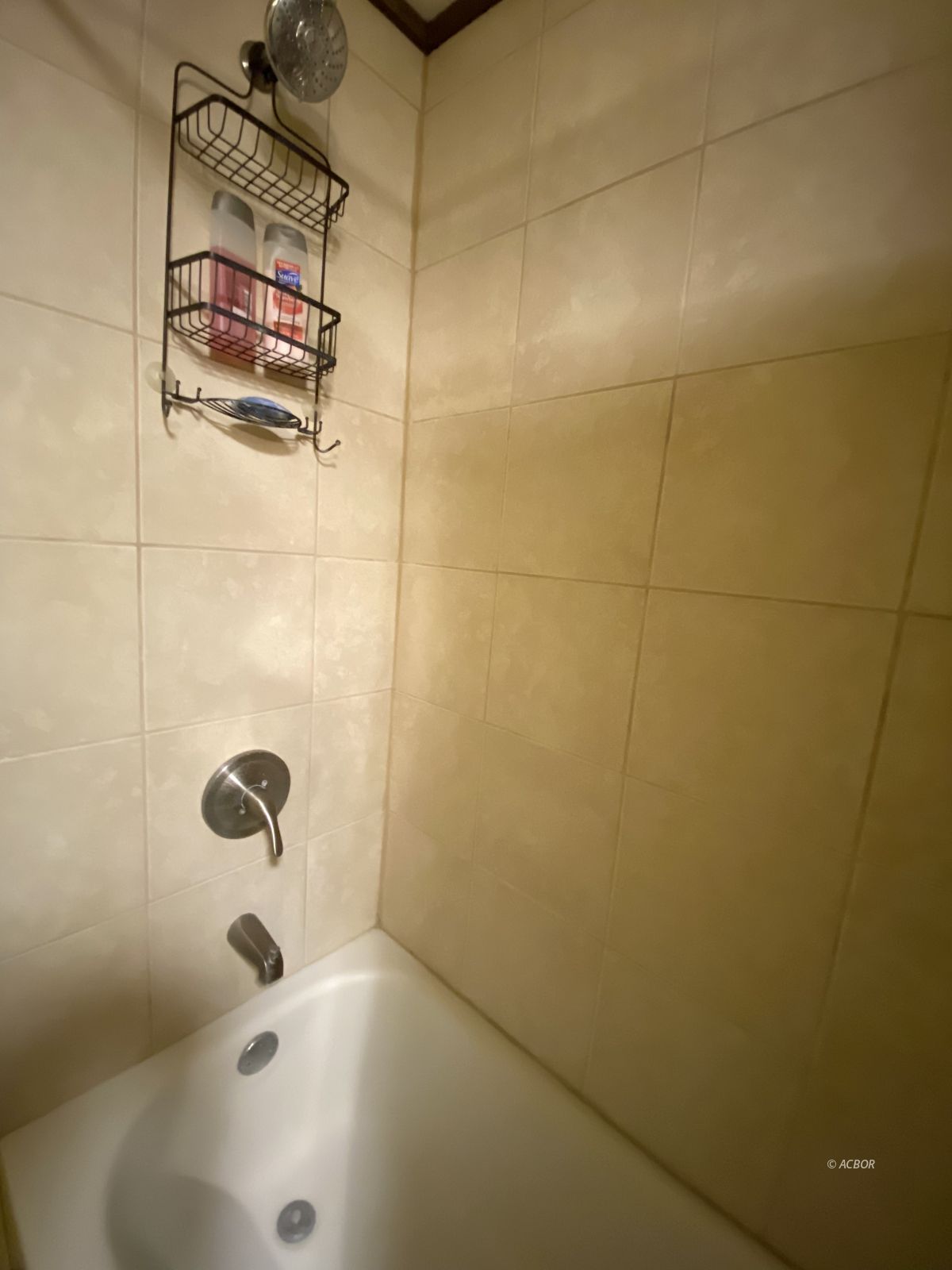 Owner's suite bath -tile/tub