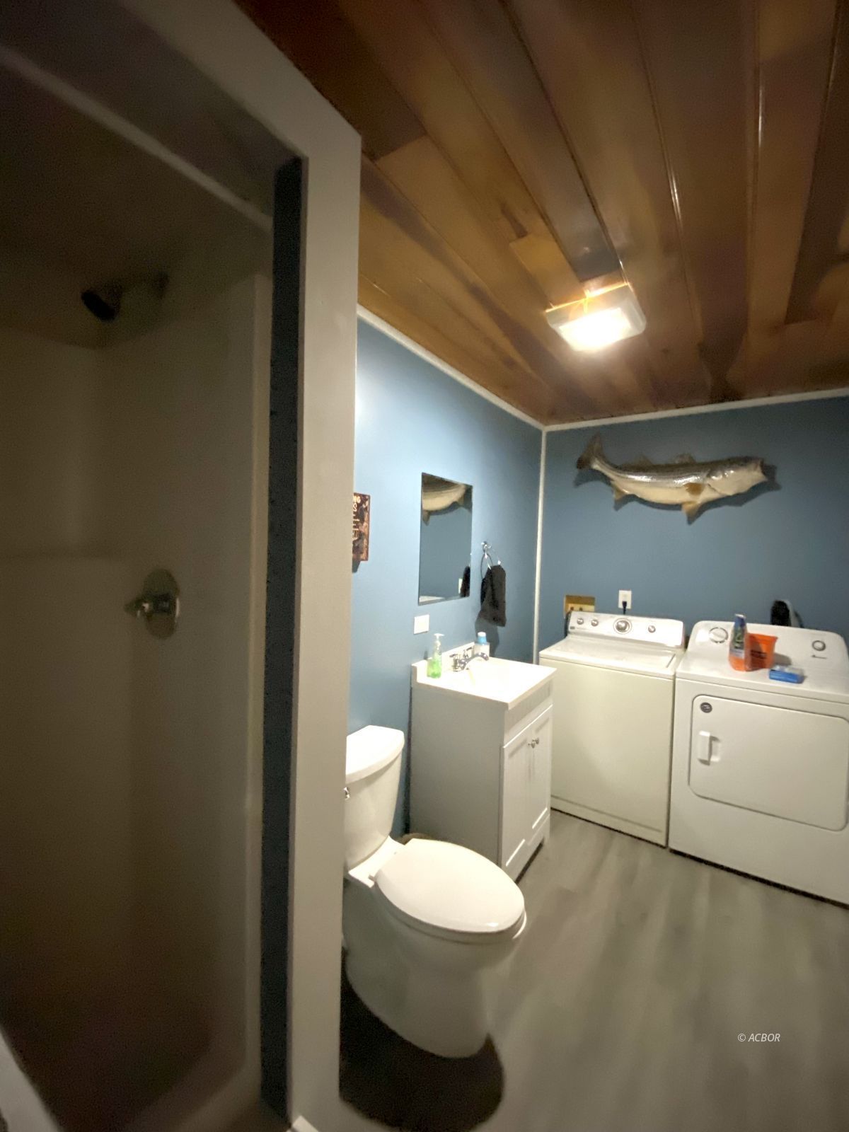 Full bath and shower