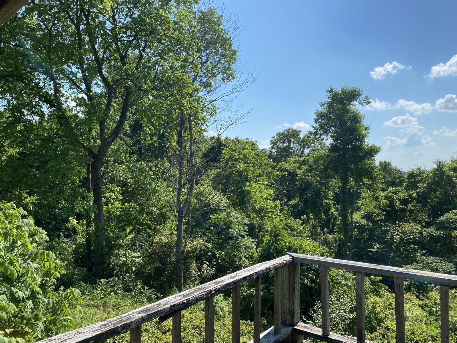 View from rear deck