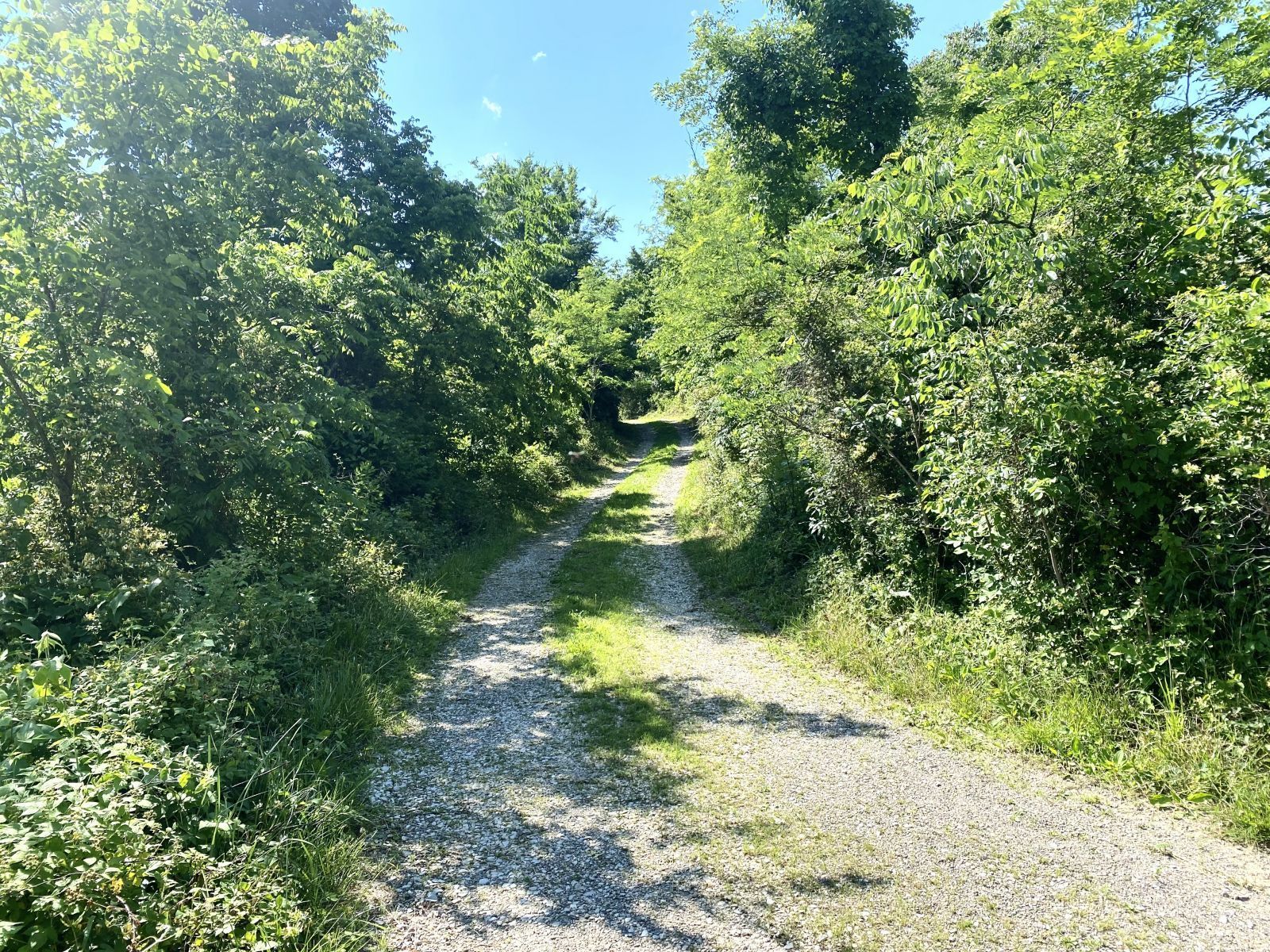 Entrance or property driveway