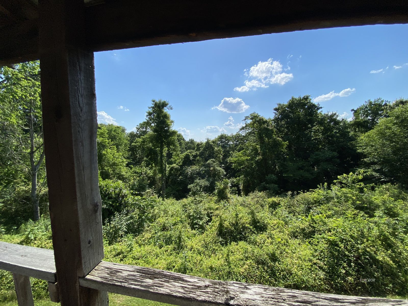 View from rear deck