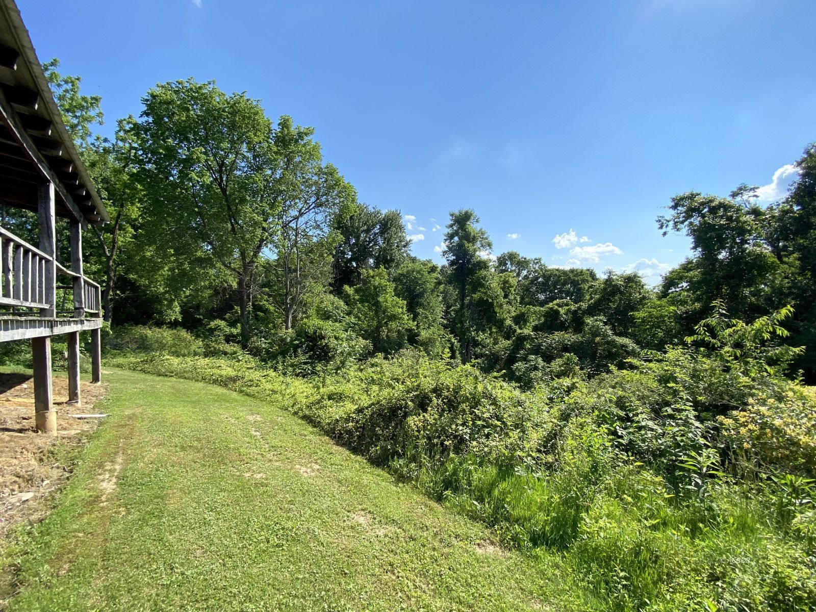 View from ground at rear of house