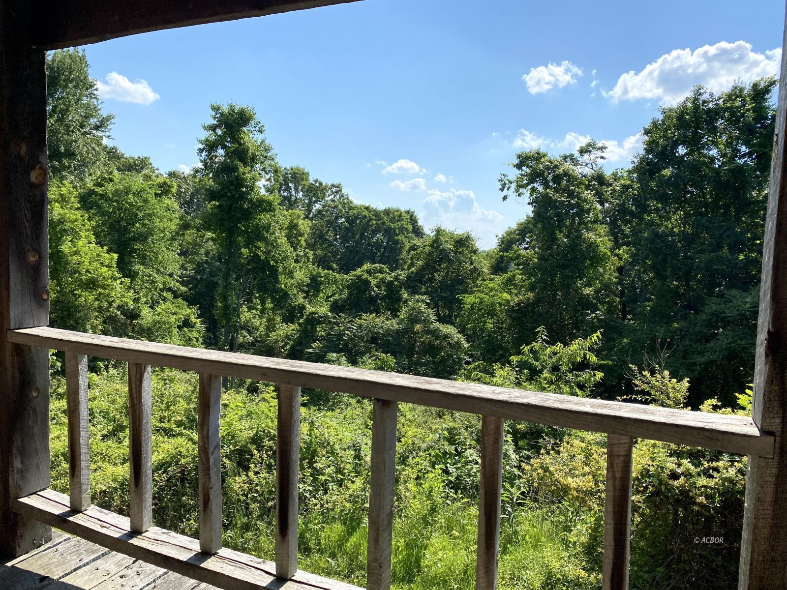 View from rear deck