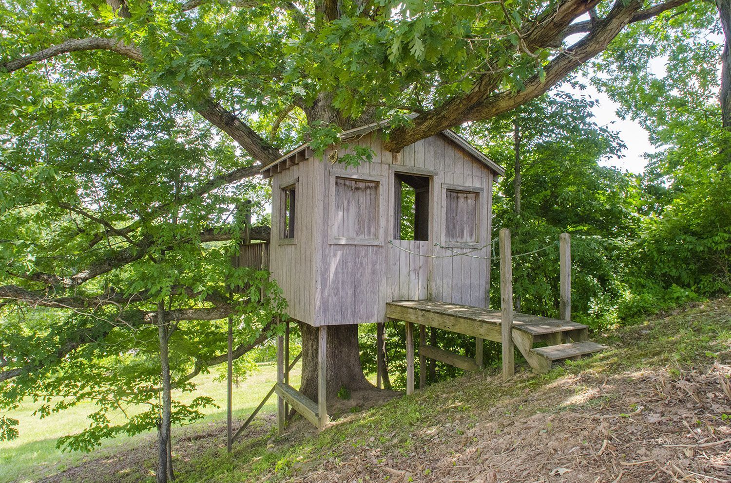 Play house