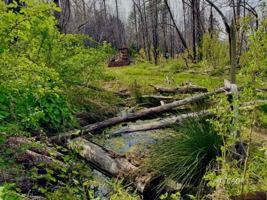 feature listing property photo