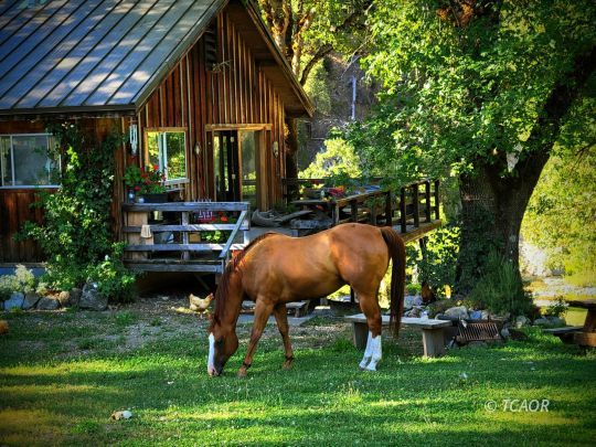 feature listing property photo
