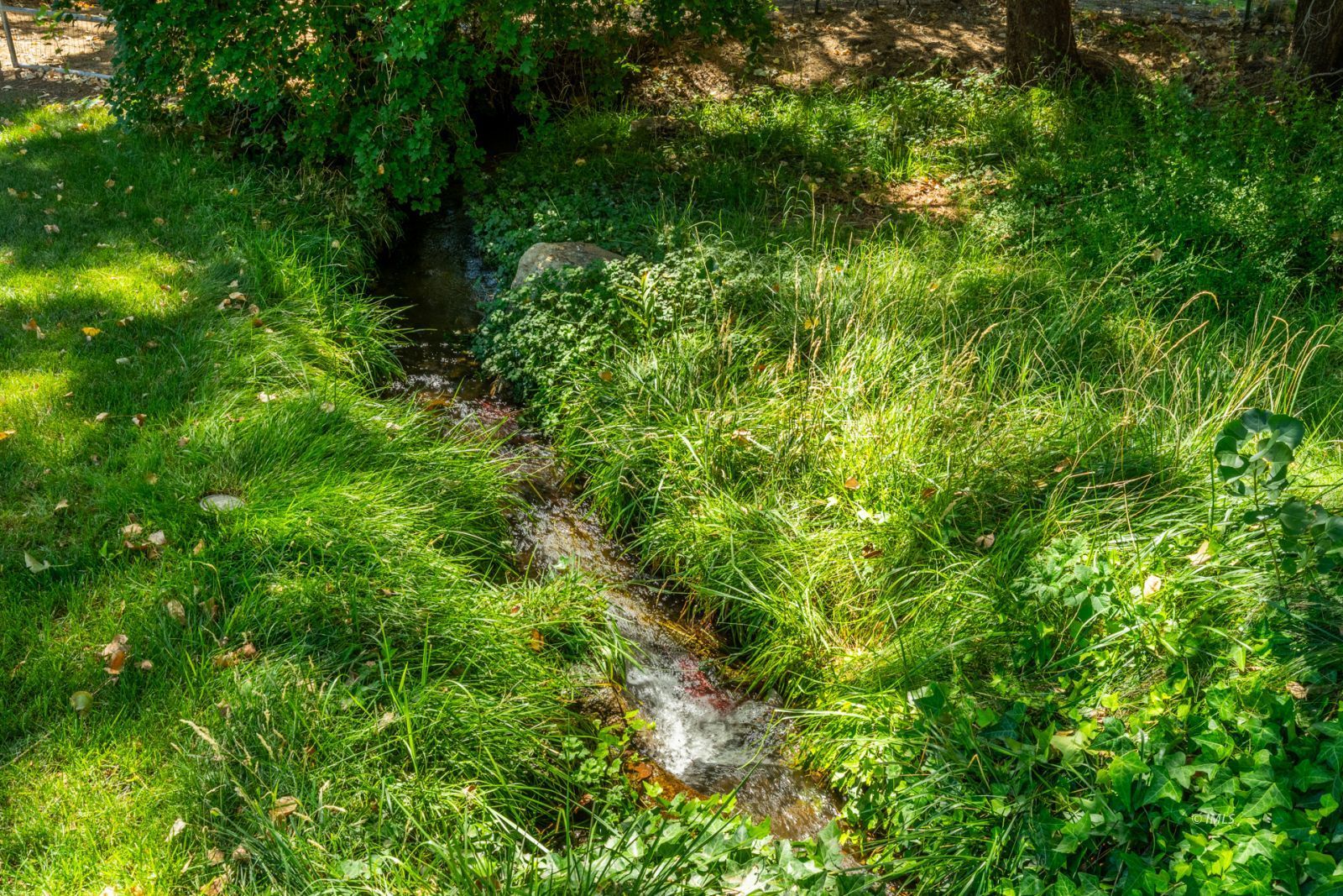 Property Photo 33