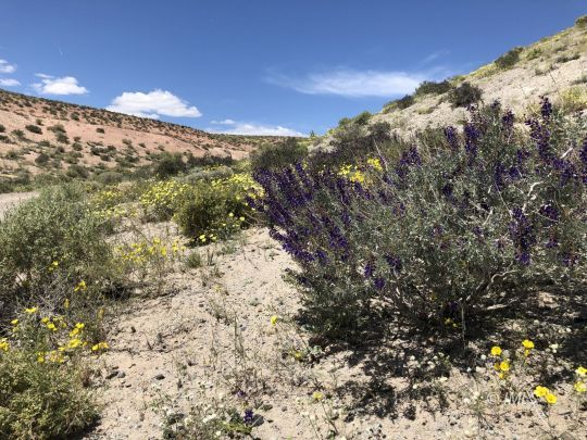 feature listing property photo