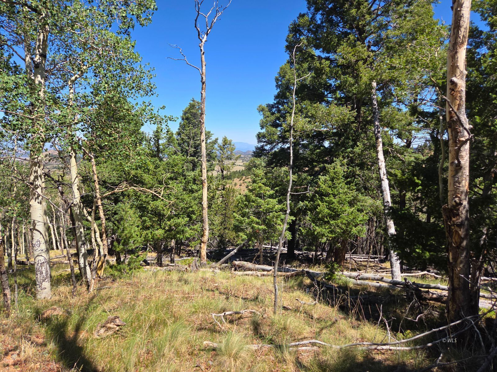 Property Photo 29