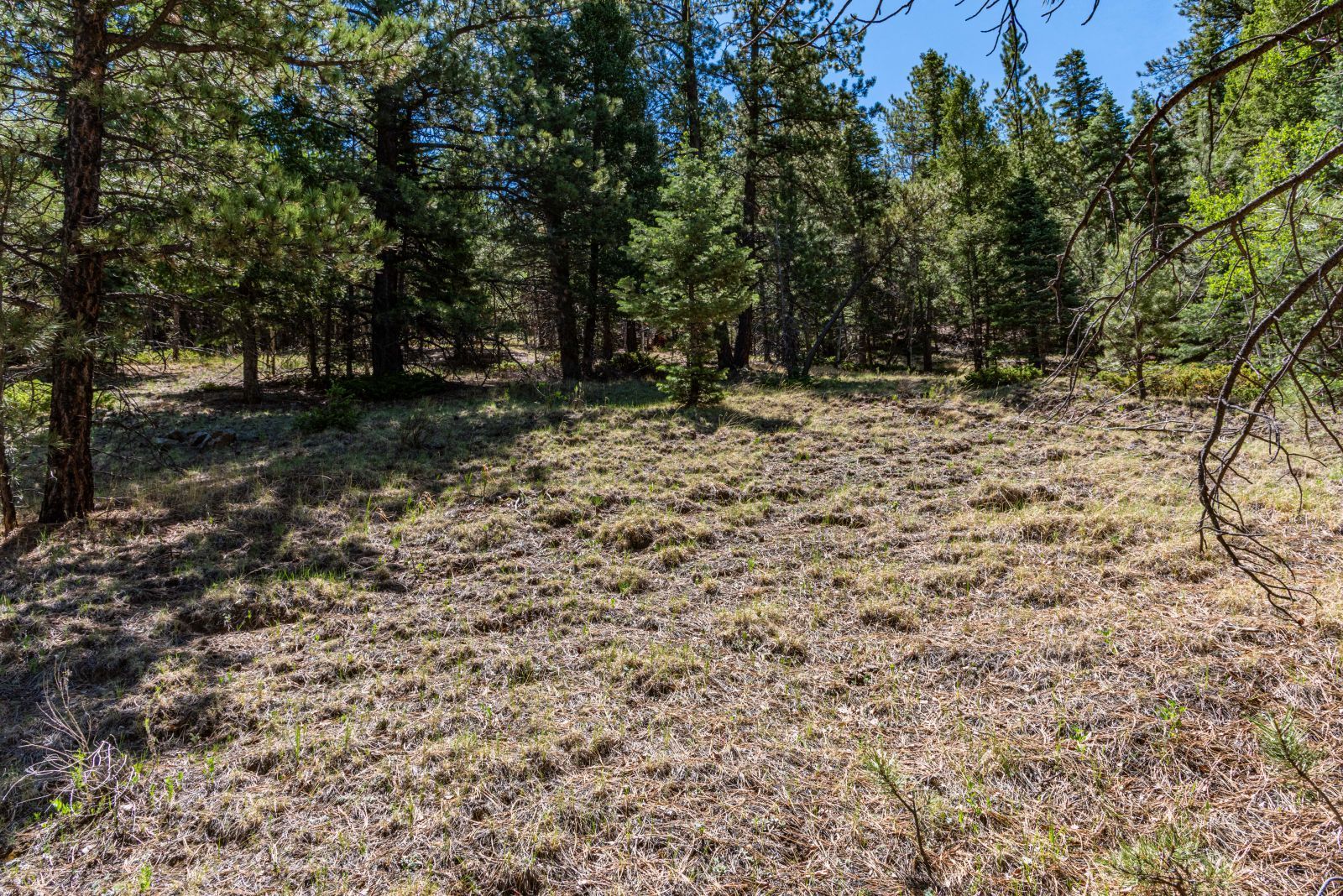 Property Photo 31