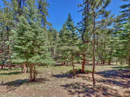 feature listing property photo