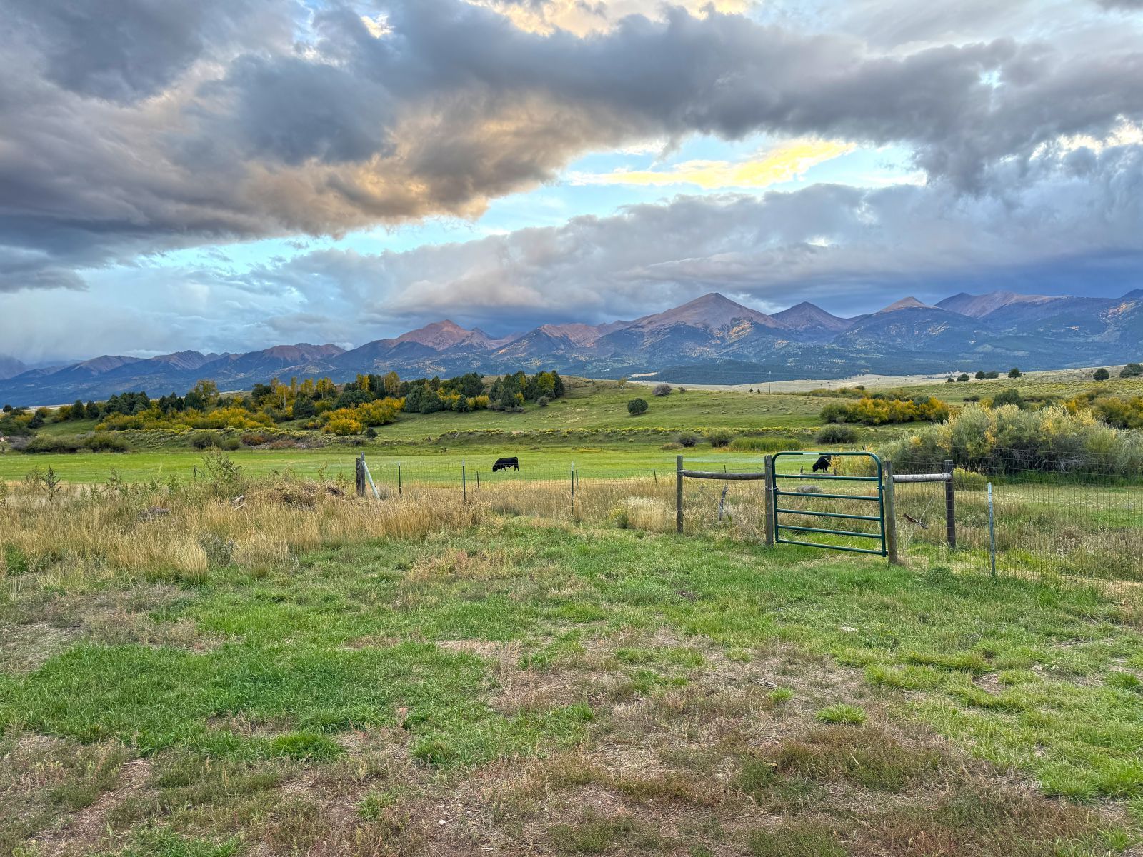 Property Photo 23