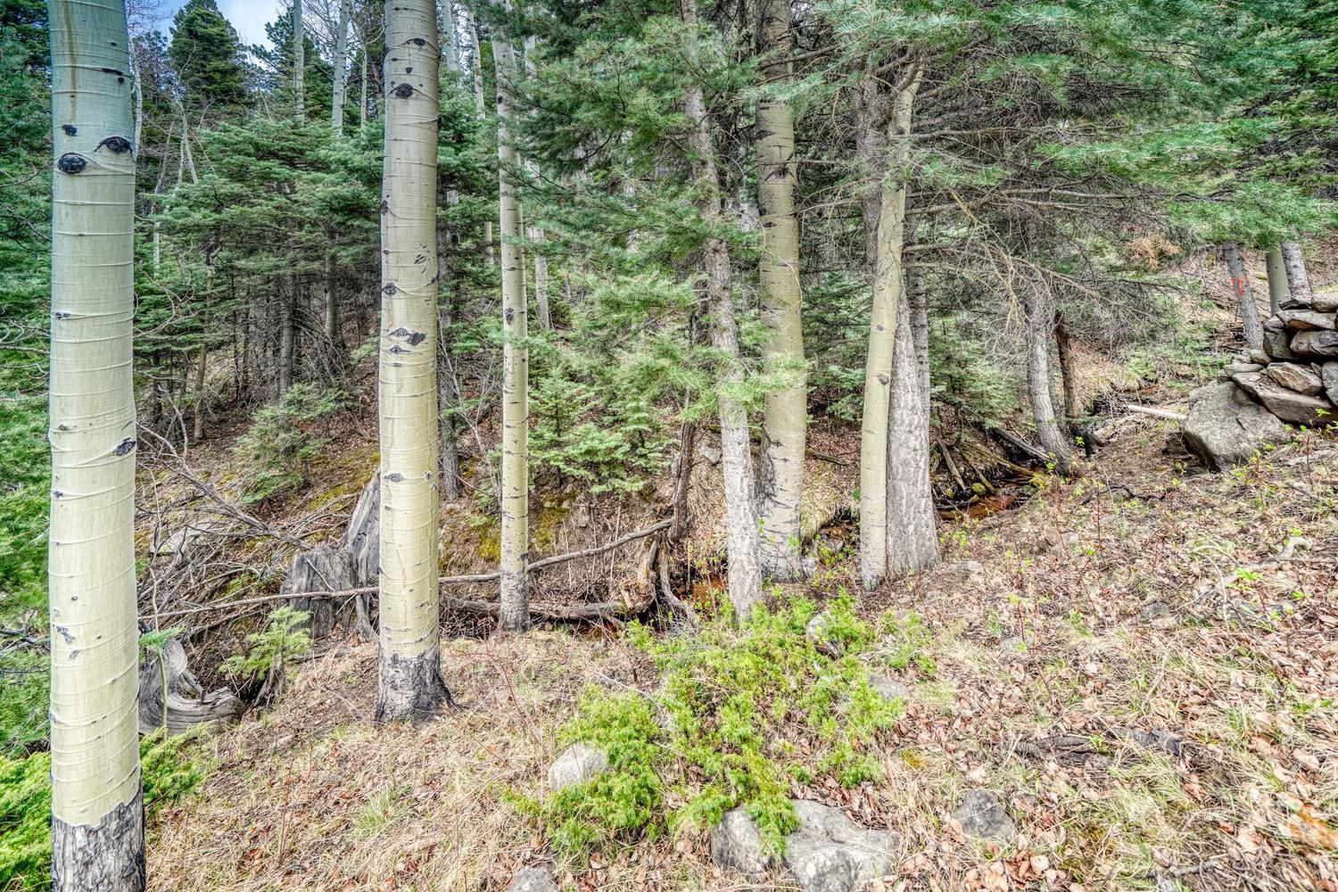 Property Photo 27